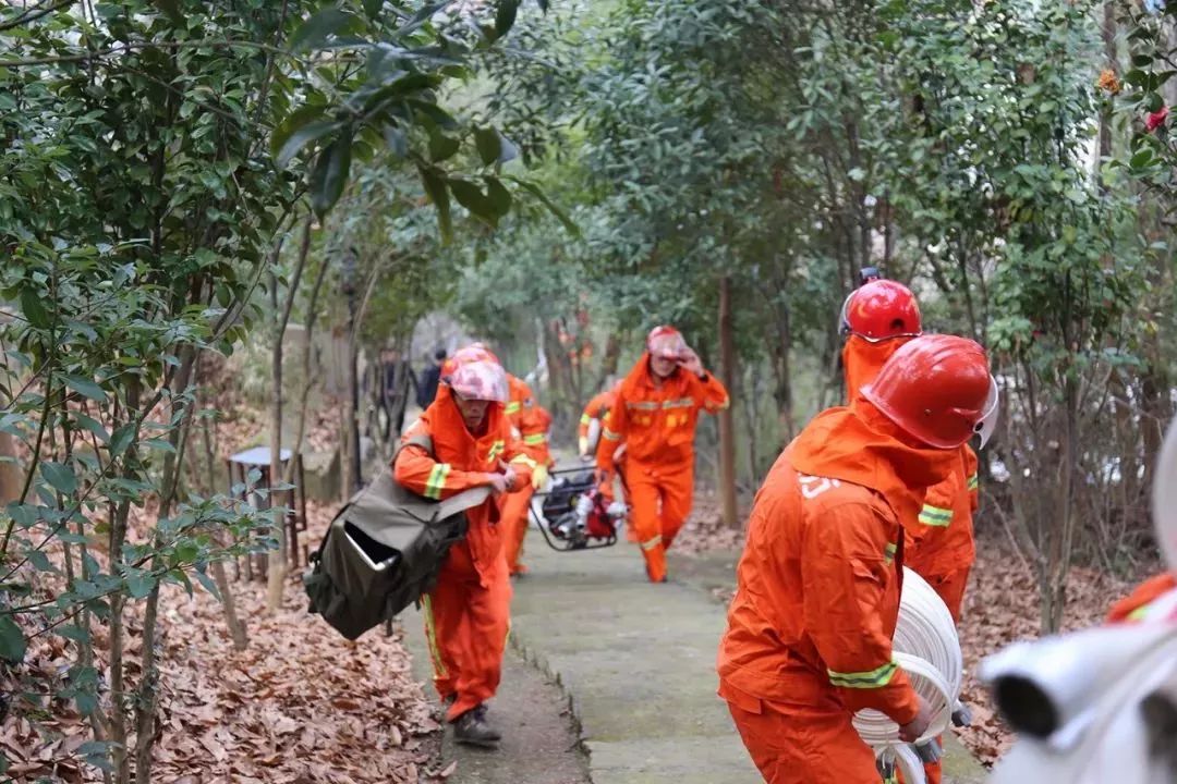 清明時節(jié)，區(qū)長緊盯森林防火，要求必須全力以赴，嚴防死守！