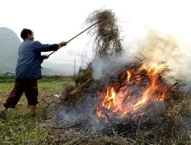 你年年都想燒的秸稈，今年可以吃票子了！