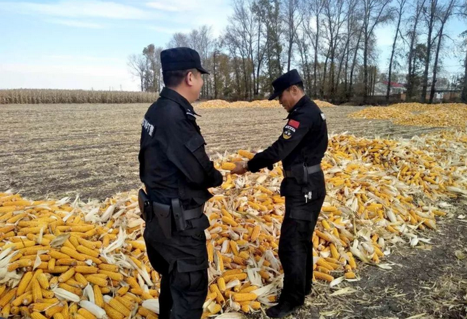 禁燒秸稈走田間、共鑄警魂保藍(lán)天