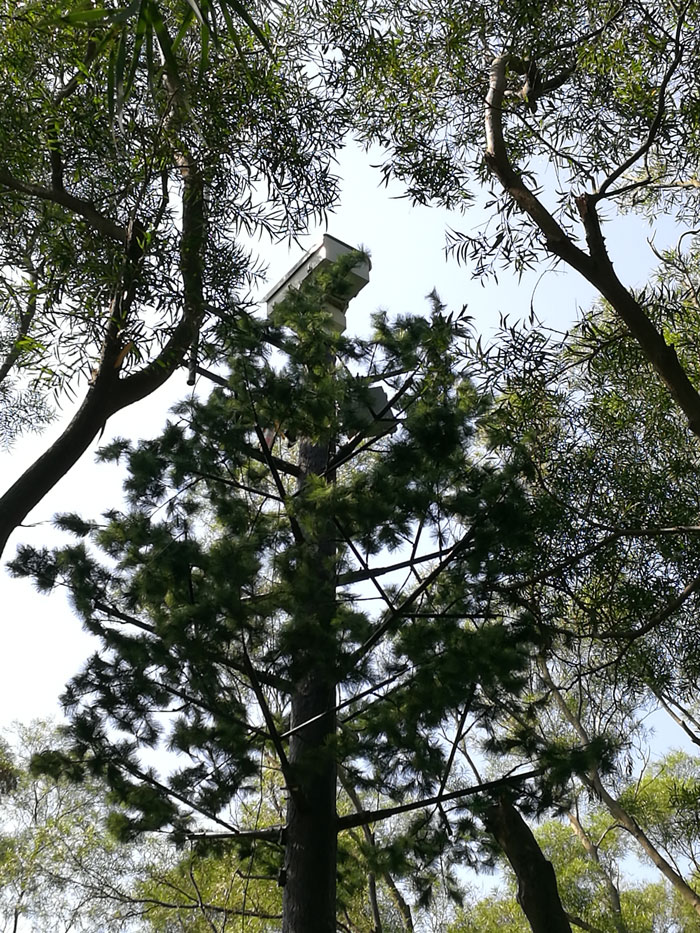 ?森林火災風險普查工作任重而道遠，華瑞通發(fā)揮行業(yè)優(yōu)勢